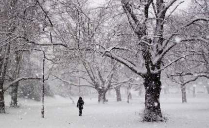 Inverno começa na terça-feira, às 04:48