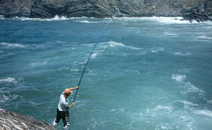 CÂMARAS MUNICIPAIS E POPULAÇÃO EXIGEM RETOMA DA PESCA LÚDICA NO PARQUE NATURAL DO SW ALENTEJANO E COSTA VICENTINA