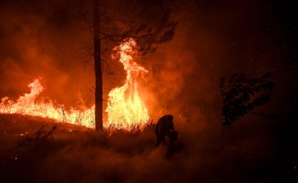 Incêndios: Chamas em Odemira tocadas a vento forte e alguns montes evacuados