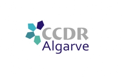 4º Trimestre de 2015 com retoma dos fluxos de tráfego nos principais eixos rodoviários no Algarve