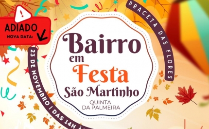 Mau tempo obriga a adiar edição de São Martinho do Bairro em Festa