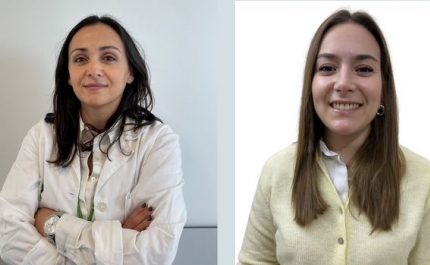 Cuidados Paliativos: Referenciação de pessoas com doença hepática não deve ser negligenciada