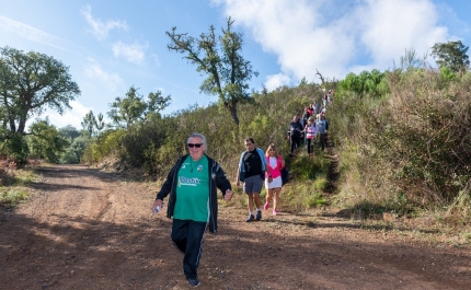 Passeio Pedestre de São Martinho na Cortelha é já no Domingo