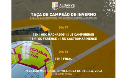 Taça de Campeão de Inverno Feminina