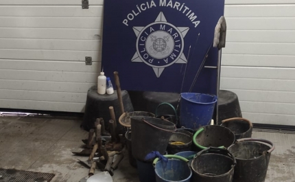 Polícia Marítima apreende 30kg de bivalves na Ria Formosa