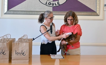 MUNICÍPIO DE LOULÉ REFORÇA COMPROMISSO COM O BEM-ESTAR ANIMAL