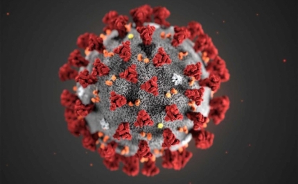 Covid-19: Cerca sanitária ao Algarve é decisão da tutela «ouvindo os autarcas» 