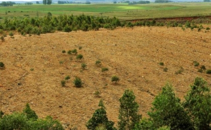 Terrenos rústicos sem uso e onde podem nascer casas vão pagar mais IMI