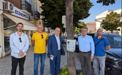 #EUTREETAG: LOULÉ RECEBE CAMPANHA EUROPEIA PARA VALORIZAÇÃO DAS ÁRVORES