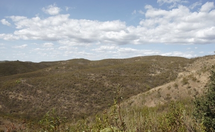 ANP/WWF recupera zona perto de antiga lixeira na serra do Caldeirão em Tavira