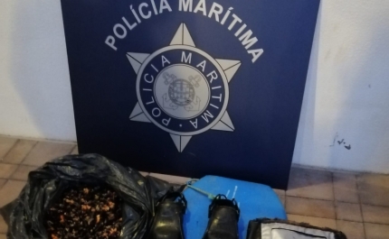 Polícia marítima apreende cerca de 15kg de perceves na Costa Vicentina