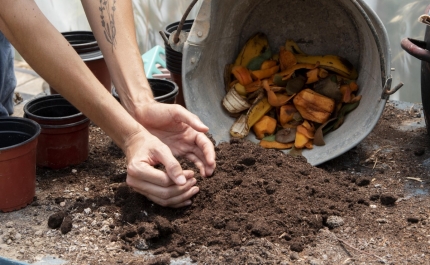 Compostagem doméstica: o que é, como fazer (e manter)