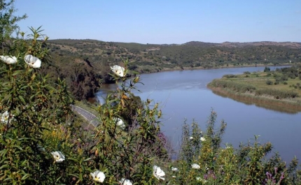 Baixo Guadiana “expõe” o seu património natural 