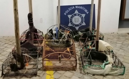 Polícia Marítima apreende nove artes de pesca na ilha da Armona em Olhão
