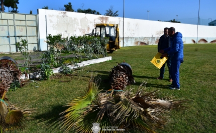 Vandalismo causa prejuízos no complexo desportivo de Vila Real de Santo António