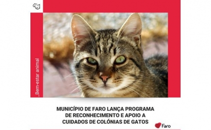 MUNICÍPIO DE FARO LANÇA PROGRAMA DE RECONHECIMENTO E APOIO A CUIDADOS DE COLÓNIAS DE GATOS 