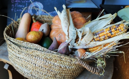 Cabaz da Terra dá a conhecer os saberes e sabores mediterrânicos