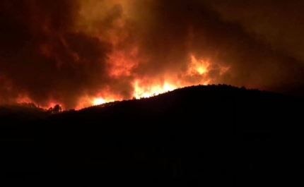 Incêndios/Algarve: Fogo em Tavira danificou quatro habitações, um armazém e duas viaturas