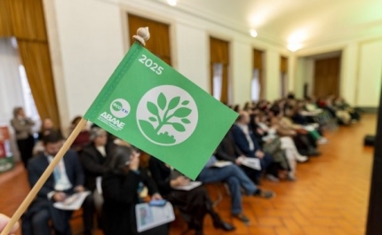 Lagos alcança melhor resultado de sempre no ECO XXI