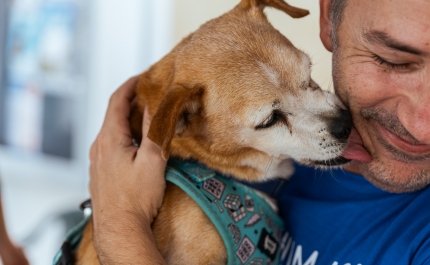 Dia Internacional do Animal celebra-se em Quarteira