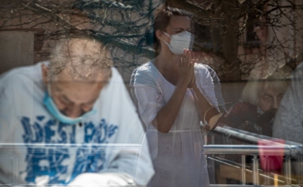 Investigação liderada por português descobre que proteína cerebral atrasa «origem» de Alzheimer