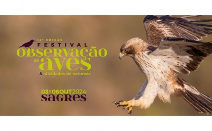 Maior evento nacional dedicado às aves e à Natureza arranca amanhã em Sagres