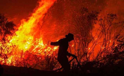 Incêndios/Algarve: Arderam 1.840 hectares em Vila Real de Santo António