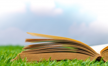 PRÉMIO MEDRONHEIRO SELVAGEM 2026: ECOLOGIA É TEMA DE GALARDÃO LITERÁRIO