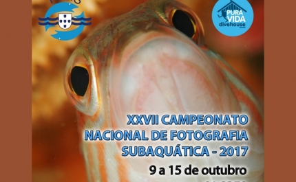 Sagres recebe Campeonato Nacional de Fotografia Subaquática