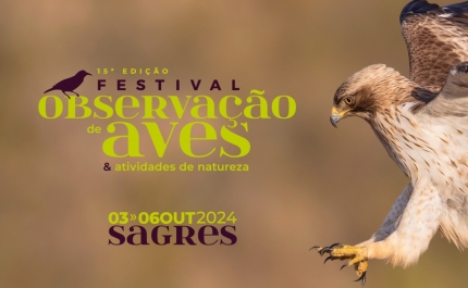 Inscrições abertas para o maior festival de natureza