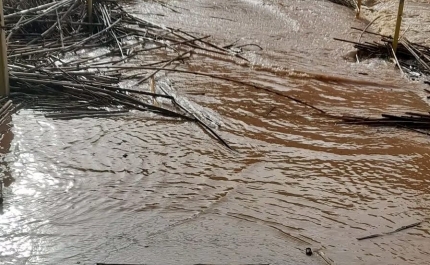 Mulher de 85 anos morre em Silves após veículo ser arrastado para ribeiro