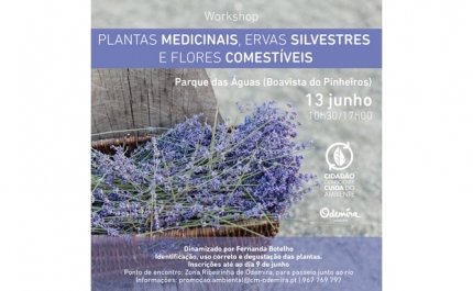 MUNICÍPIO DE ODEMIRA PROMOVE WORKSHOP SOBRE PLANTAS MEDICINAIS, ERVAS SILVESTRES E FLORES COMESTÍVEIS