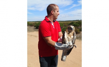 Festival de Observação de Aves & Atividades de Natureza | Todos os caminhos foram dar a Sagres