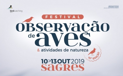 Festival de observação de aves: inscrições abertas