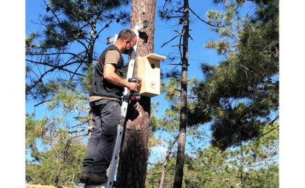 Município de Vila Real de Santo António recebe 30 caixas ninho para aves