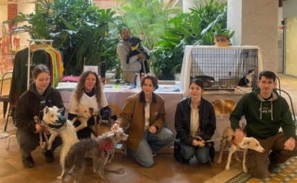 ARA fecha 2025 com resgates, adoções e denúncias de maus-tratos no Algarve