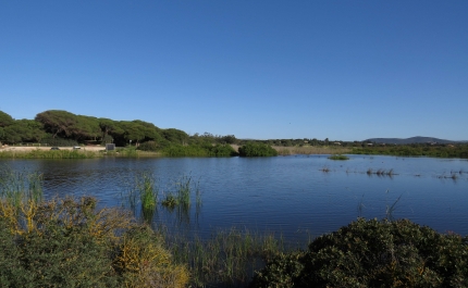 CÂMARA DE LOULÉ CRIA RESERVA NATURAL LOCAL DA FOZ DO ALMARGEM E DO TRAFAL EM QUARTEIRA