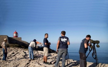 O festival dedicado à observação de aves é de 4 a 8 de outubro, em Sagres