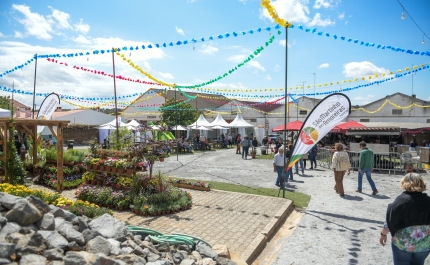 Feira do Interior do Concelho de Odemira | ANIMAÇÃO E TRADIÇÃO NAS FESTAS DE MAIO EM AMOREIRAS-GARE