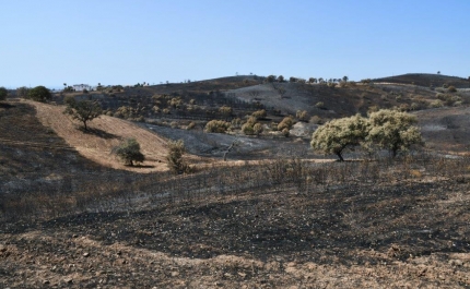 VRSA: Gabinete de Crise efetua levantamento de estragos do incêndio no concelho