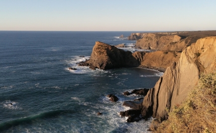  ALJEZUR EXIGE A AVALIAÇÃO DA PORTARIA SOBRE O DEFESO DA PESCA AO SARGO NA COSTA VICENTINA 