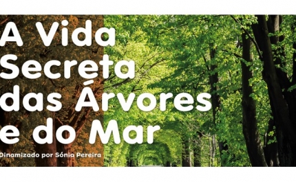 «A vida secreta das árvores e do mar»: clube de leitura