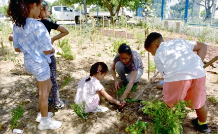 A PRIMEIRA FLORESTA MIYAWAKI NO CONCELHO DE LOULÉ NASCEU EM ALMANCIL