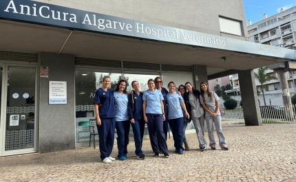 AniCura Algarve Hospital Veterinário expande estrutura e torna-se o hospital mais completo da região Sul