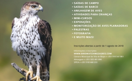 FESTIVAL DAS AVES 2018