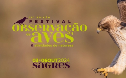 Festival de Observação de Aves espera cerca de 1.300 participantes em Sagres