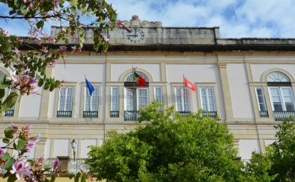 NOVOS PROCEDIMENTOS CONCURSAIS COM CANDIDATURAS ATÉ 30 DE JANEIRO