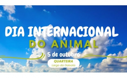 Quarteira promove teste de aptidão social para cães