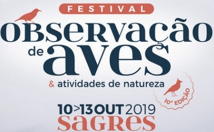  De 10 a 13 de outubro as aves voltam a ser as estrelas de Sagres | Festival de Observação de Aves e Actividades de Natureza   