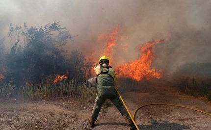 Incêndios: Mais de 650 operacionais combatem fogo em Odemira